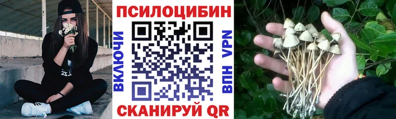 Галлюциногенные грибы ЛСД Ясногорск