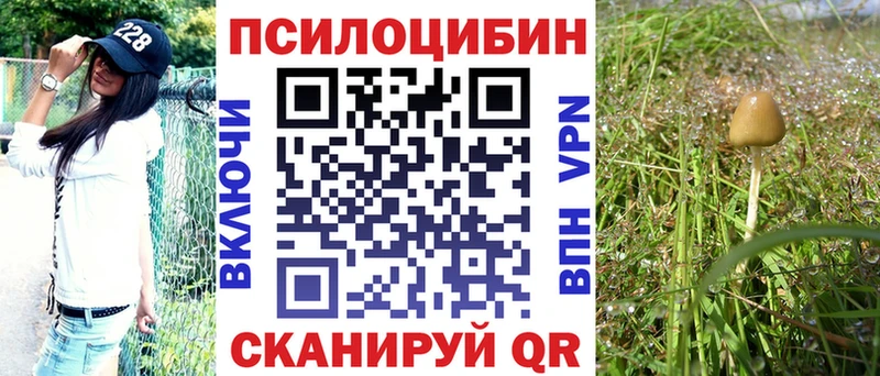 мориарти официальный сайт  Ясногорск  Псилоцибиновые грибы мицелий 
